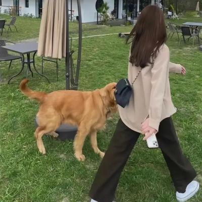 鱼生知有你